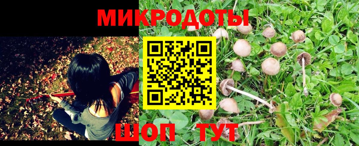 Лангепас  Псилоцибиновые грибы Psilocybine cubensis  Вход с VPN  Галлюциногенные грибы прущие грибы 